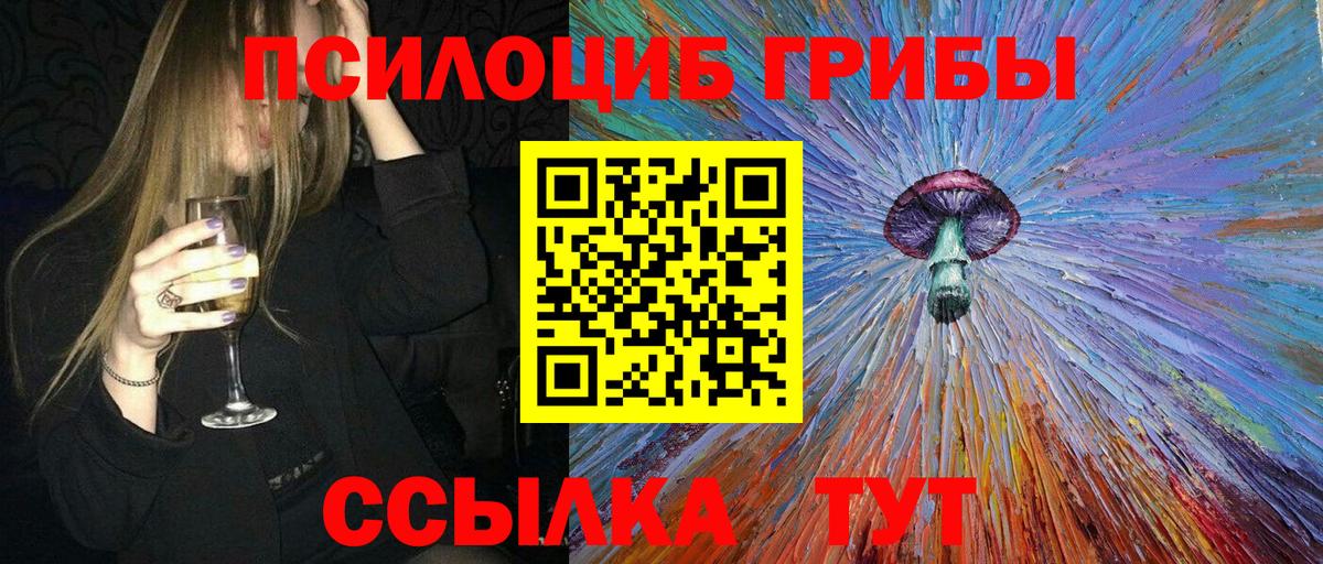 Галлюциногенные грибы Psilocybe Саянск